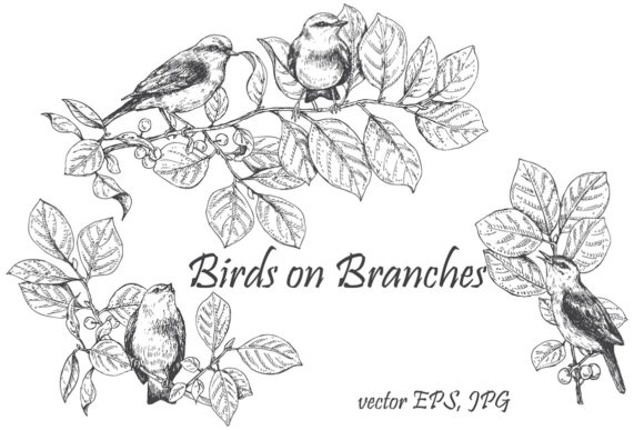 Birds on Branches Sketch: A Versatile Toolkit for Creative Expression and Design