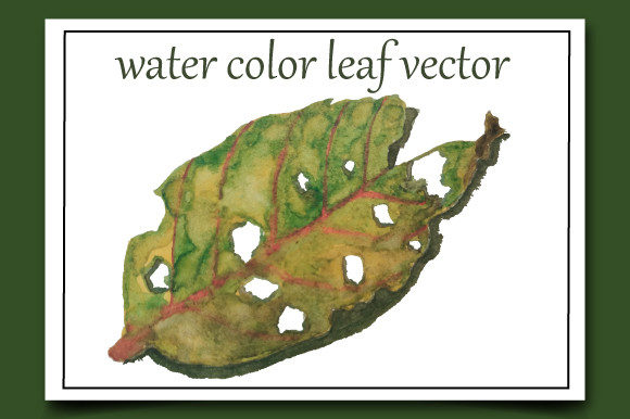 Embrace the Versatility of Watercolor Leaf Vector Illustrations