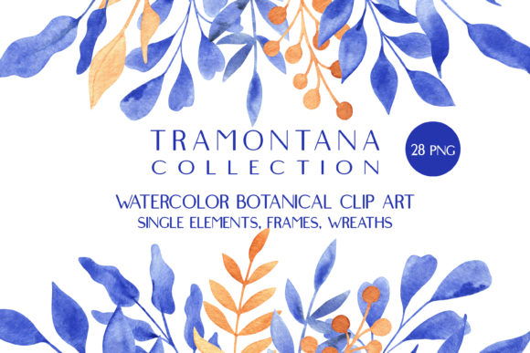 Embracing Elegance: The Blue and Orange Watercolor Botanical Set for Modern Creators