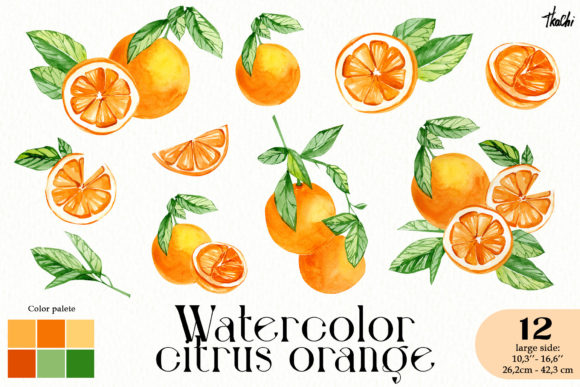 Finding Your Summer Style: A Practical Guide to Watercolor Citrus Orange Clipart