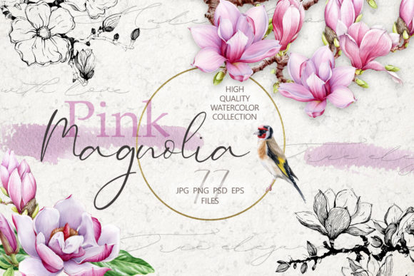 The Elegance of Botanical Art: Exploring the Pink Magnolia Watercolor Collection